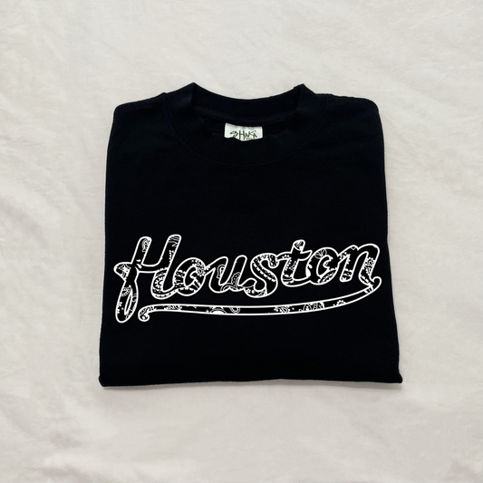 Houston heavyweight paisley 1.0