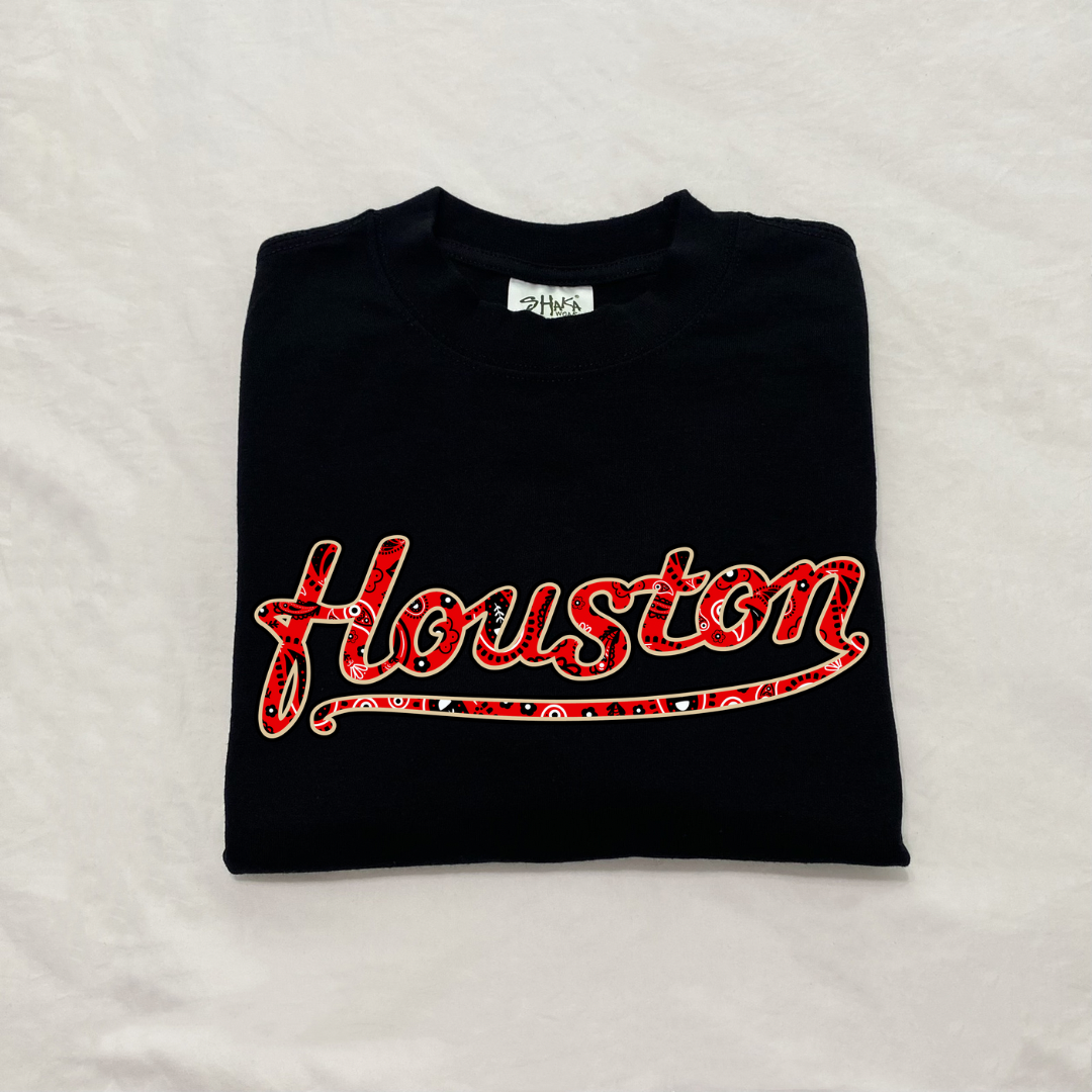 Houston heavyweight paisley 4.0